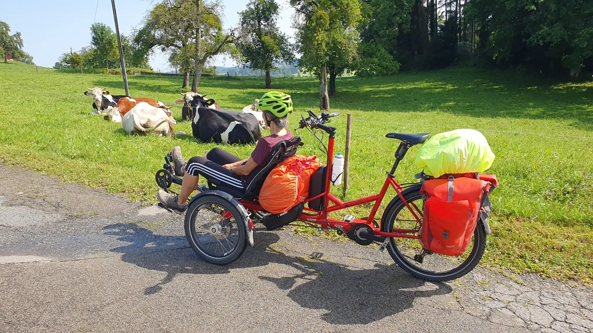 voyager en velo pousseur ou tanem 3 roues electrique