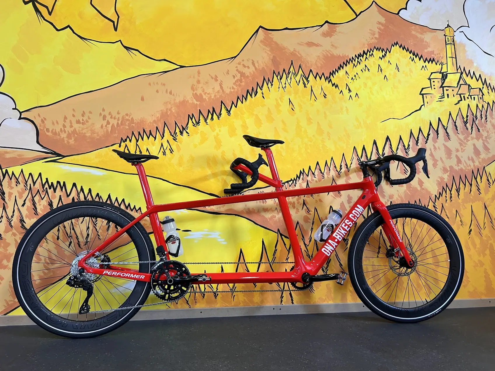 velo duo - tandem route carbone pour competition ou sport