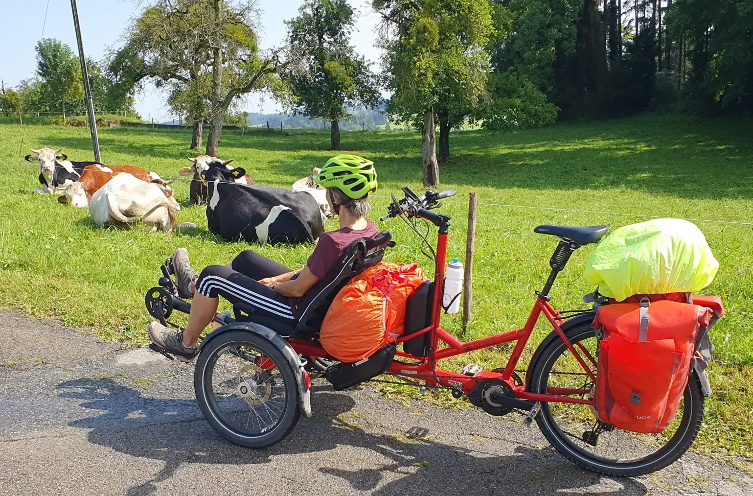 velo DUO - tandem 3 roues Strada