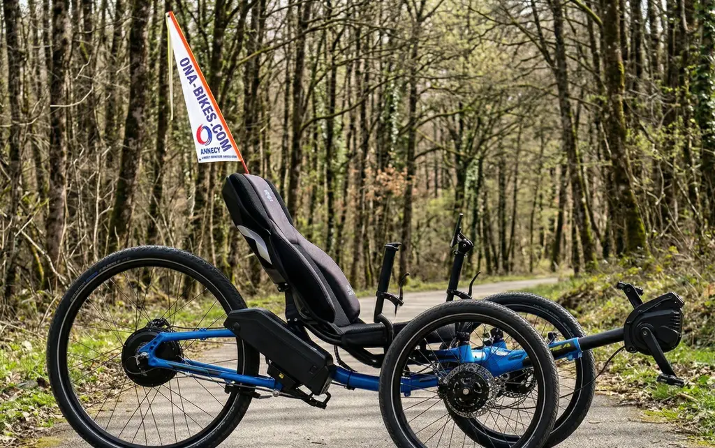 trike ICE sans chaine avec moteur CIXI.png