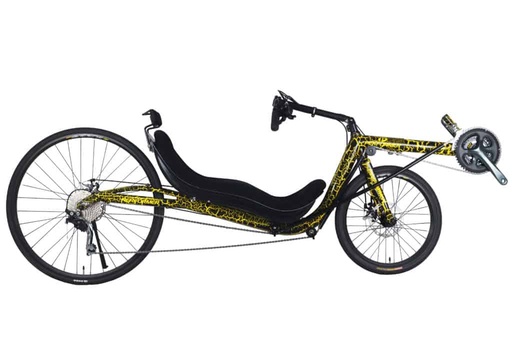 [CAT_PERF_1200] Vélo couché PERFORMER LOW RACER X-LOW S