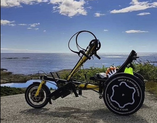 [CAT_HASE_1090] Handbike enfant HASE TRIX